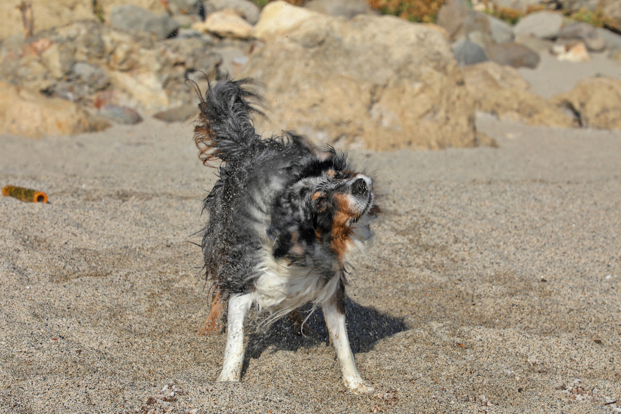 Kalabrien: Ein Fall für die Familie