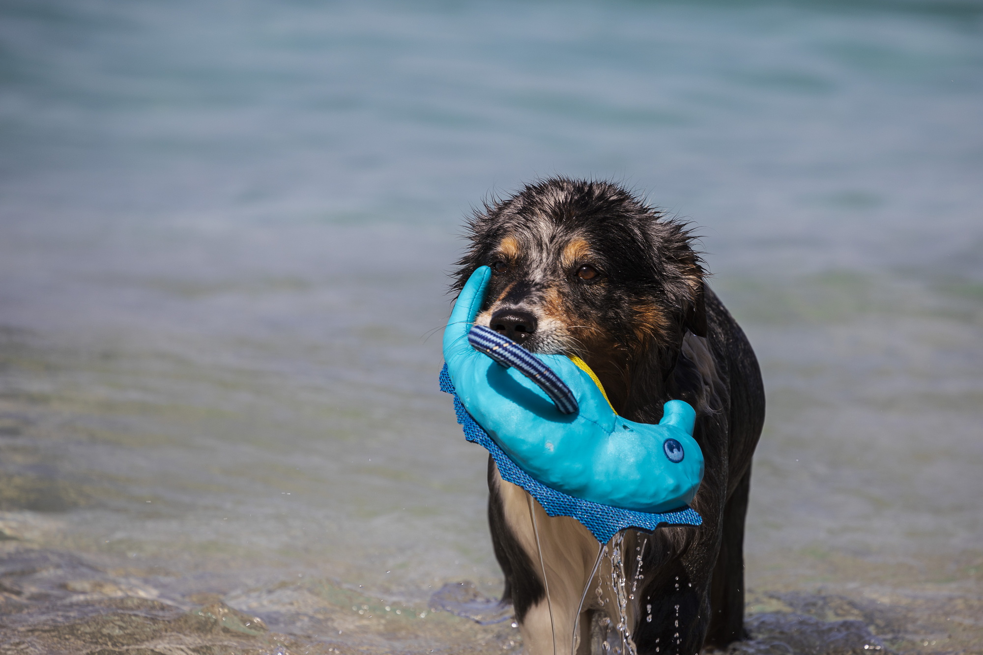 Albanien: Es ist noch nicht zu spät